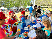 Solar Energy Cook-Off